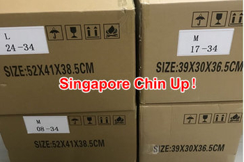 Auto BiPAP 30ST Medical Ventilator export to Singapore